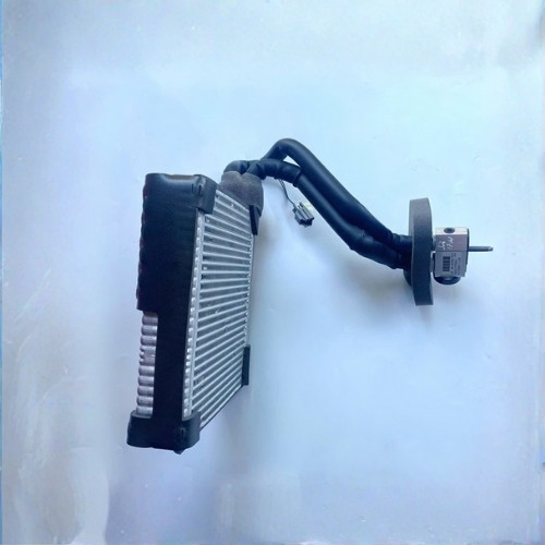 Dàn lạnh Ford Ecosport Dàn lạnh Ecosport chính hãng Ford